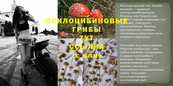 герыч Наволоки